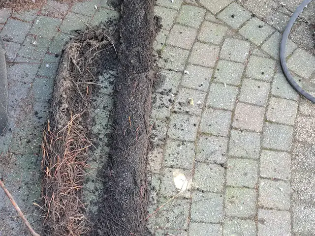 Appelloodgieters aan het werk